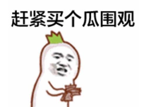 滨海吃瓜群众是谁啊图片,网络红人的崛起之路