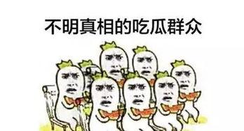 吃瓜群众好看吗,颜值与魅力的双重解读