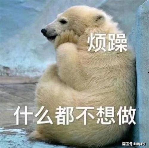 欠揍的吃瓜群众图片大全,吃瓜群众的欢乐源泉