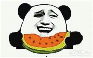 32个粉丝吃瓜群众是谁,32位吃瓜群众背后的故事