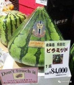 中国各地吃瓜群众,中国各地“吃瓜群众”的趣味生活掠影