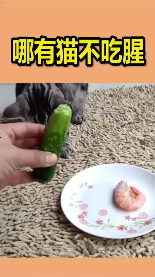 吃瓜群众半天想不出来,吃瓜群众半天想不出的惊人内幕大揭秘