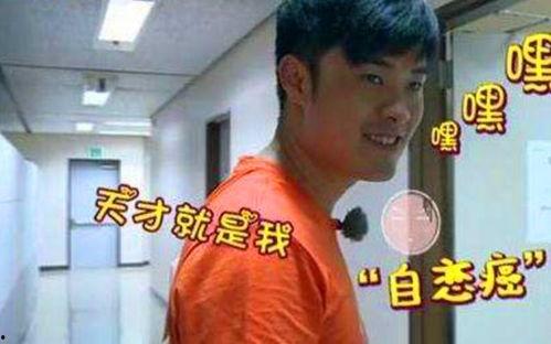 吃瓜群众陈赫,吃瓜群众的娱乐盛宴