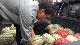 吃瓜群众真快乐图片大全,真快乐图片大全集锦