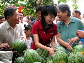 鹿城吃瓜群众,揭秘街头巷尾的热辣话题